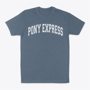 Pony Express Elementary School Varsity Arch Classic Dad T-Shirt