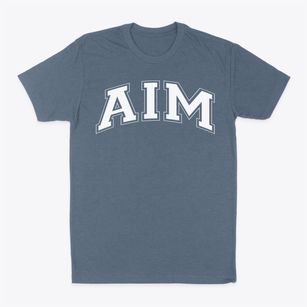 Aim High School Varsity Arch Classic Dad T-Shirt
