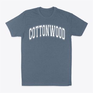 Cottonwood Elementary School Varsity Arch Classic Dad T-Shirt