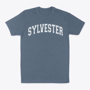 Sylvester Elementary School Varsity Arch Classic Dad T-Shirt