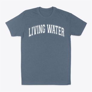 Living Water Christian School Varsity Arch Classic Dad T-Shirt