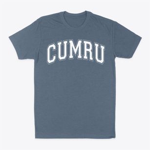 Cumru Elementary School Varsity Arch Classic Dad T-Shirt