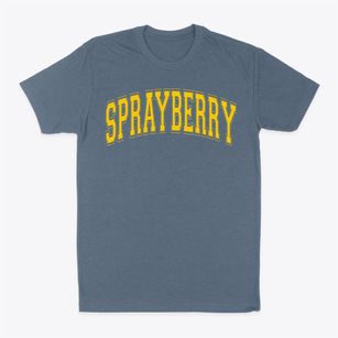 Sprayberry Education Center Varsity Arch Classic Dad T-Shirt