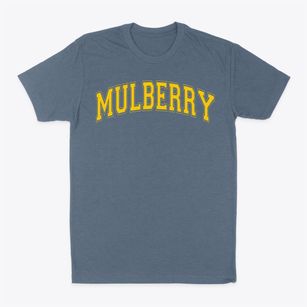 Mulberry High School Varsity Arch Classic Dad T-Shirt
