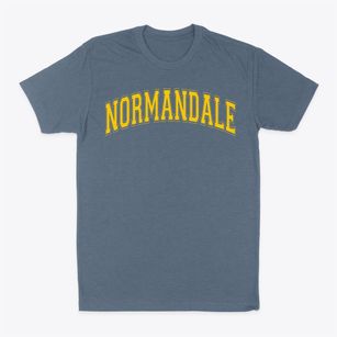 Normandale French Emersion School Varsity Arch Classic Dad T-Shirt