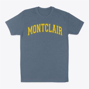 Montclair Cooperative School Varsity Arch Classic Dad T-Shirt