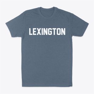 Lexington Ohio Classic Block Classic Dad T-Shirt