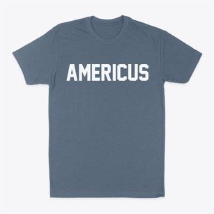Americus Indiana Classic Block Classic Dad T-Shirt