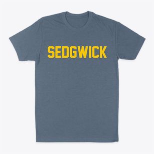 Sedgwick Kansas Classic Block Classic Dad T-Shirt