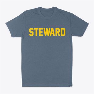 Steward Illinois Classic Block Classic Dad T-Shirt