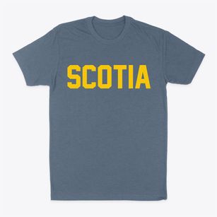 Scotia South Carolina Classic Block Classic Dad T-Shirt