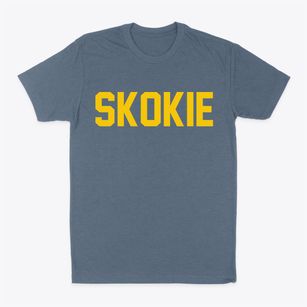 Skokie Illinois Classic Block Classic Dad T-Shirt