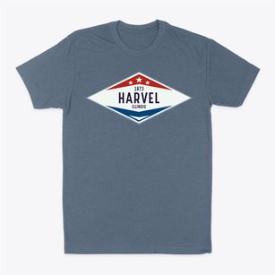 Harvel Illinois Diamond Star Classic Dad T-Shirt