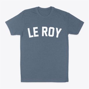 Le Roy Illinois Classic Curve Classic Dad T-Shirt