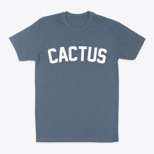 Cactus Texas Classic Curve Classic Dad T-Shirt