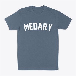 Medary Wisconsin Classic Curve Classic Dad T-Shirt