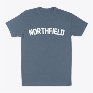 Northfield Wisconsin Classic Curve Classic Dad T-Shirt