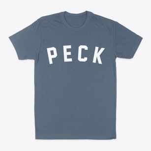 Peck Michigan Classic Curve Classic Dad T-Shirt