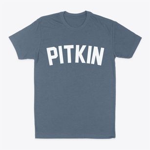 Pitkin Louisiana Classic Curve Classic Dad T-Shirt