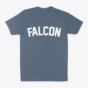 Falcon North Carolina Classic Curve Classic Dad T-Shirt