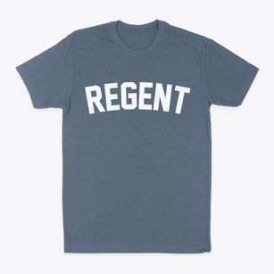 Regent North Dakota Classic Curve Classic Dad T-Shirt