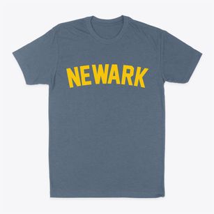 Newark Delaware Classic Curve Classic Dad T-Shirt