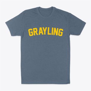 Grayling Michigan Classic Curve Classic Dad T-Shirt