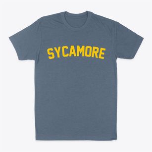 Sycamore Georgia Classic Curve Classic Dad T-Shirt