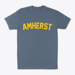 Amherst New Hampshire Classic Curve Classic Dad T-Shirt