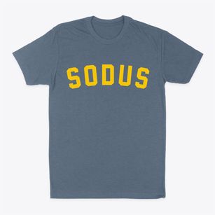 Sodus New York Classic Curve Classic Dad T-Shirt