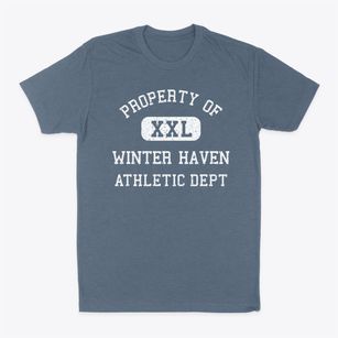 Winter Haven Florida Athletic Dept Classic Dad T-Shirt
