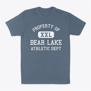 Bear Lake Wisconsin Athletic Dept Classic Dad T-Shirt