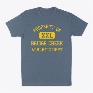 Bridge Creek Wisconsin Athletic Dept Classic Dad T-Shirt