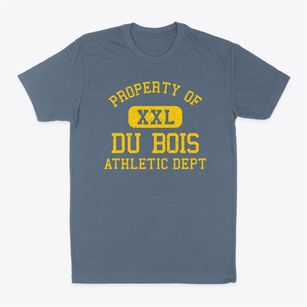 Du Bois Illinois Athletic Dept Classic Dad T-Shirt