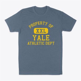 Yale Illinois Athletic Dept Classic Dad T-Shirt