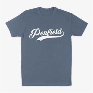Penfield Illinois Vintage Team Classic Dad T-Shirt