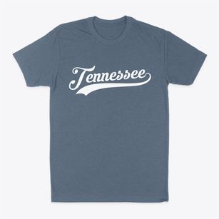 Tennessee Illinois Vintage Team Classic Dad T-Shirt