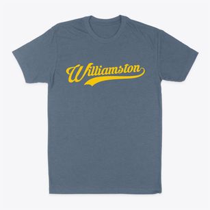Williamston North Carolina Vintage Team Classic Dad T-Shirt
