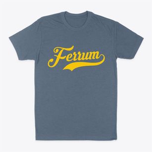 Ferrum Virginia Vintage Team Classic Dad T-Shirt
