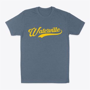 Waterville New York Vintage Team Classic Dad T-Shirt