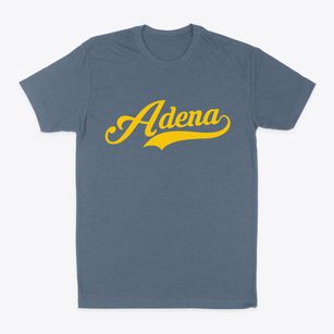 Adena Ohio Vintage Team Classic Dad T-Shirt
