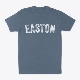 Easton New York Timeless Retro Classic Dad T-Shirt