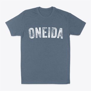 Oneida Illinois Timeless Retro Classic Dad T-Shirt
