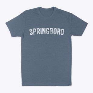Springboro Pennsylvania Timeless Retro Classic Dad T-Shirt