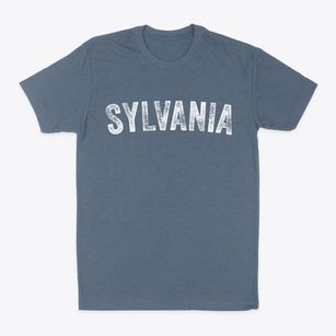 Sylvania Ohio Timeless Retro Classic Dad T-Shirt