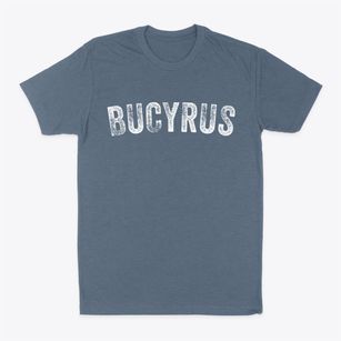 Bucyrus Kansas Timeless Retro Classic Dad T-Shirt