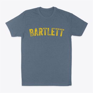 Bartlett New Hampshire Timeless Retro Classic Dad T-Shirt