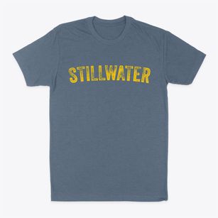 Stillwater Minnesota Timeless Retro Classic Dad T-Shirt