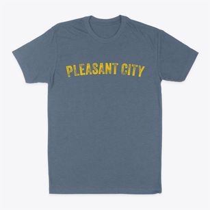Pleasant City Ohio Timeless Retro Classic Dad T-Shirt