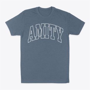 Amity New York Trendy Block Classic Dad T-Shirt